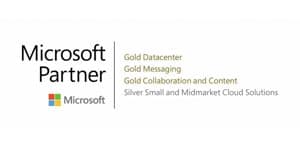 logo ms partner2